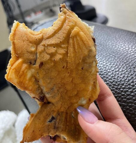 キムチェウォンの歴代彼氏7人【2025最新】元カレはラッパー?