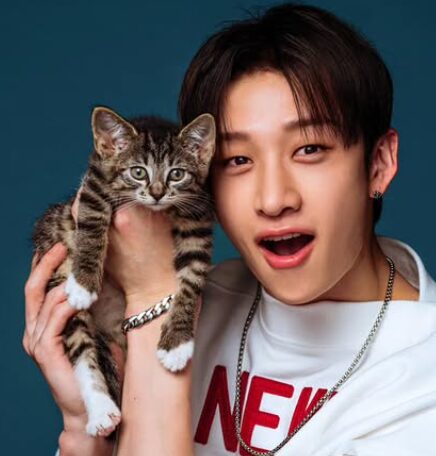 StrayKidsバンチャン 歴代彼女