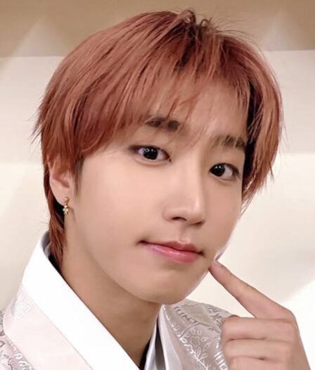 StrayKidsハン　歴代彼女