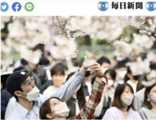 2026最新！ジェシーの歴代彼女20人！綾瀬はるかとの噂は？